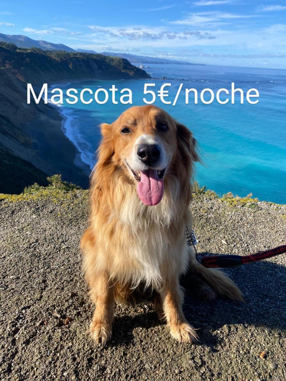 El Desvan Del Chisco Cudillero Exteriör bild